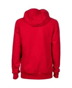 Arena Team Hooded Sweatshirt 21 Arena Team Hooded Sweatshirt -Swim Hub Pro 004904 400 team hooded sweat panel 006 b s