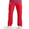Arena Team Panel Pant 2 Arena Team Panel Pant -Swim Hub Pro 004910 400 team pant panel 001 o