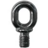 Paragon Bronze Eye Bolt -Swim Hub Pro 1014
