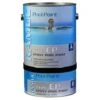 Ramuc 1-Gallon Type EP Epoxy 9081 1 Ramuc 1-Gallon Type EP Epoxy 9081 -Swim Hub Pro 17370